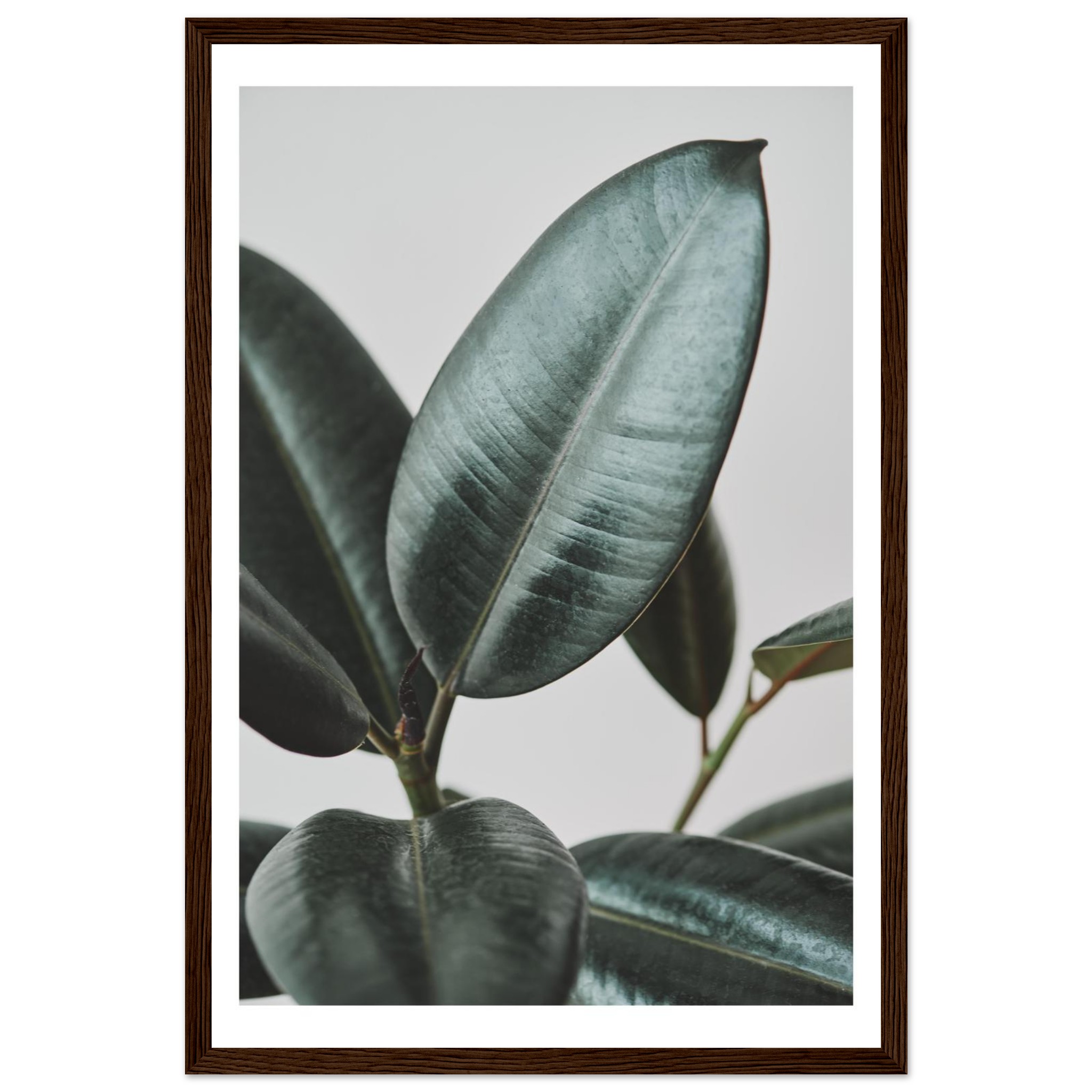 061f1584-1dd0-4275-a868-aebc16a53e82.jpg 061f1584-1dd0-4275-a868-aebc16a53e82