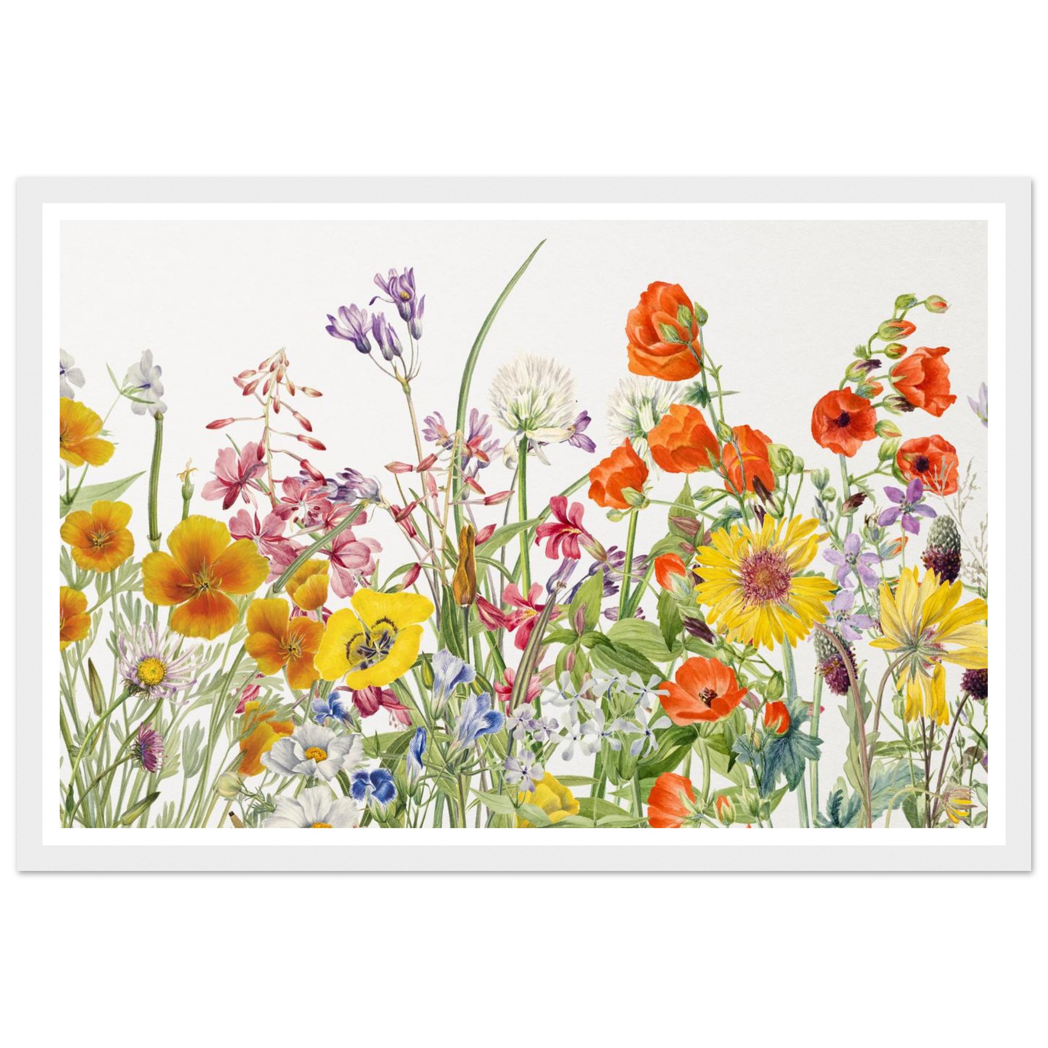 06846770-7972-41dd-b623-5c9710a5edcf.jpg 06846770-7972-41dd-b623-5c9710a5edcf