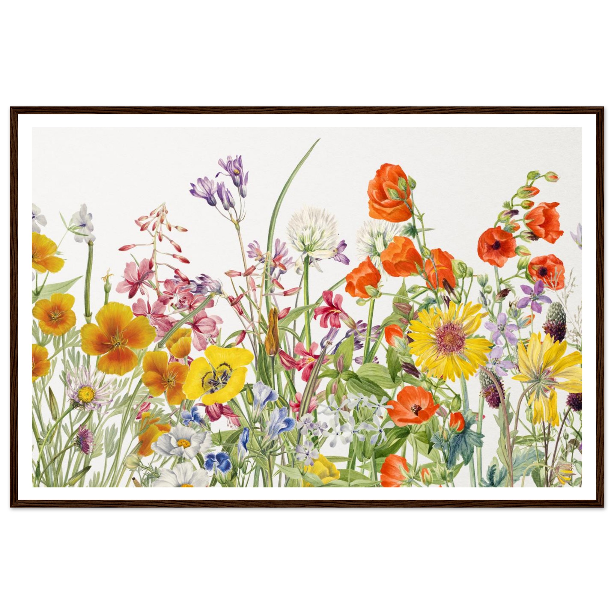 1c33a2bb-b808-473e-a6f9-27239f7d1331.jpg 1c33a2bb-b808-473e-a6f9-27239f7d1331