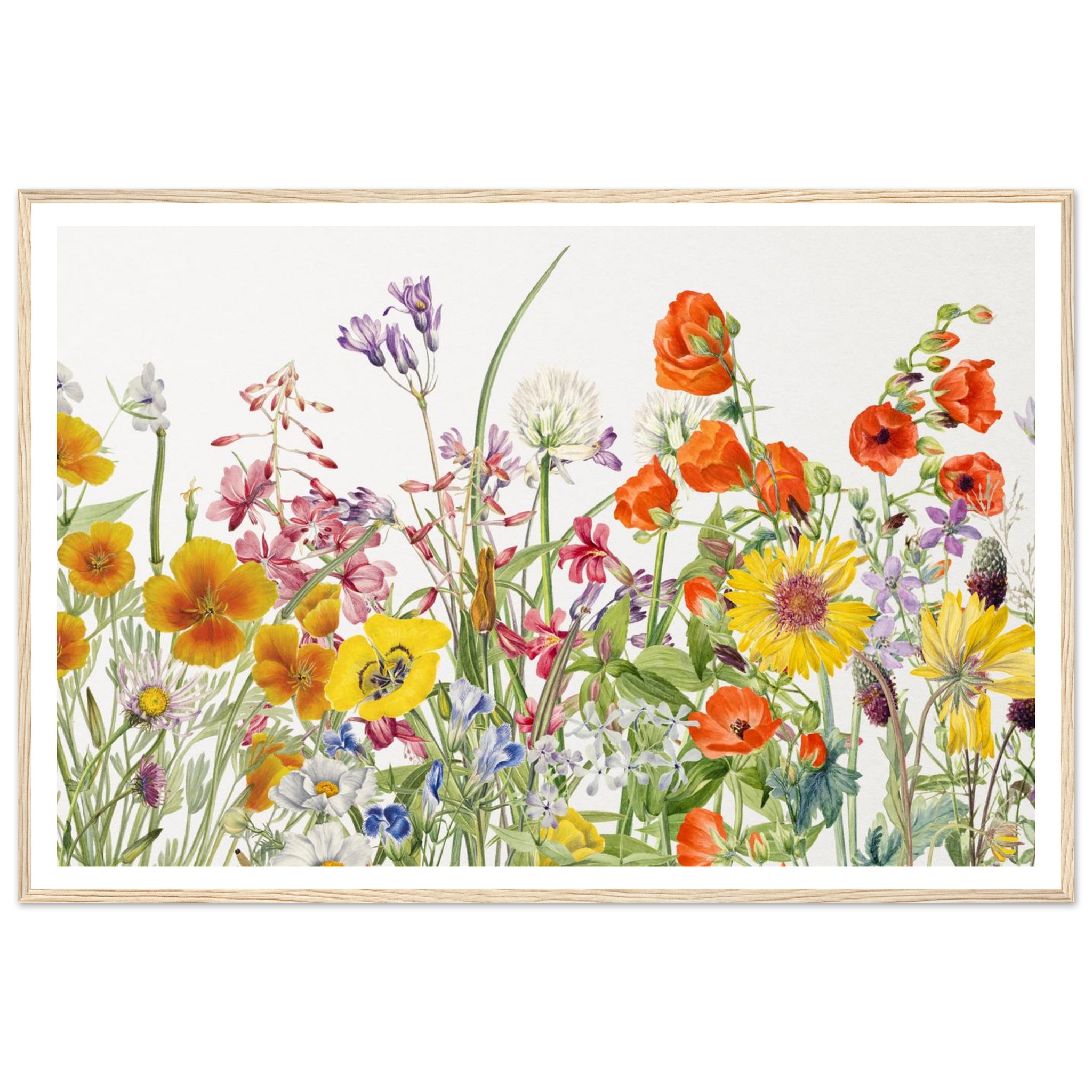 22460ca0-15bb-4903-9db3-e01e5e3b2951.jpg 22460ca0-15bb-4903-9db3-e01e5e3b2951