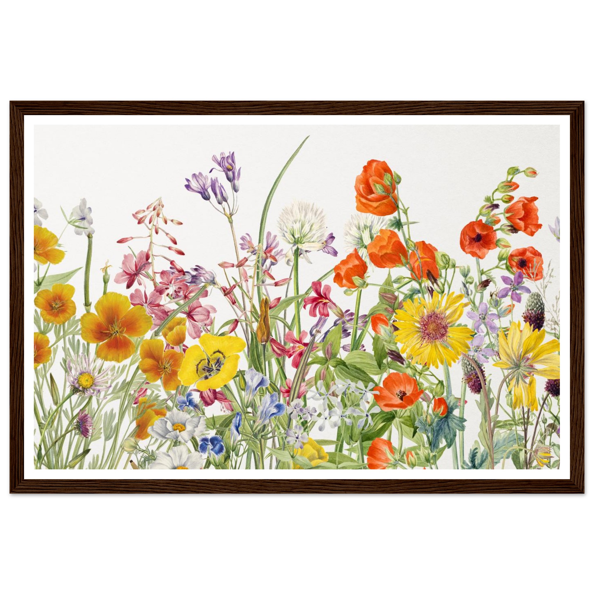 2a236c98-e814-4dd2-abf4-e2b4ac766785.jpg 2a236c98-e814-4dd2-abf4-e2b4ac766785