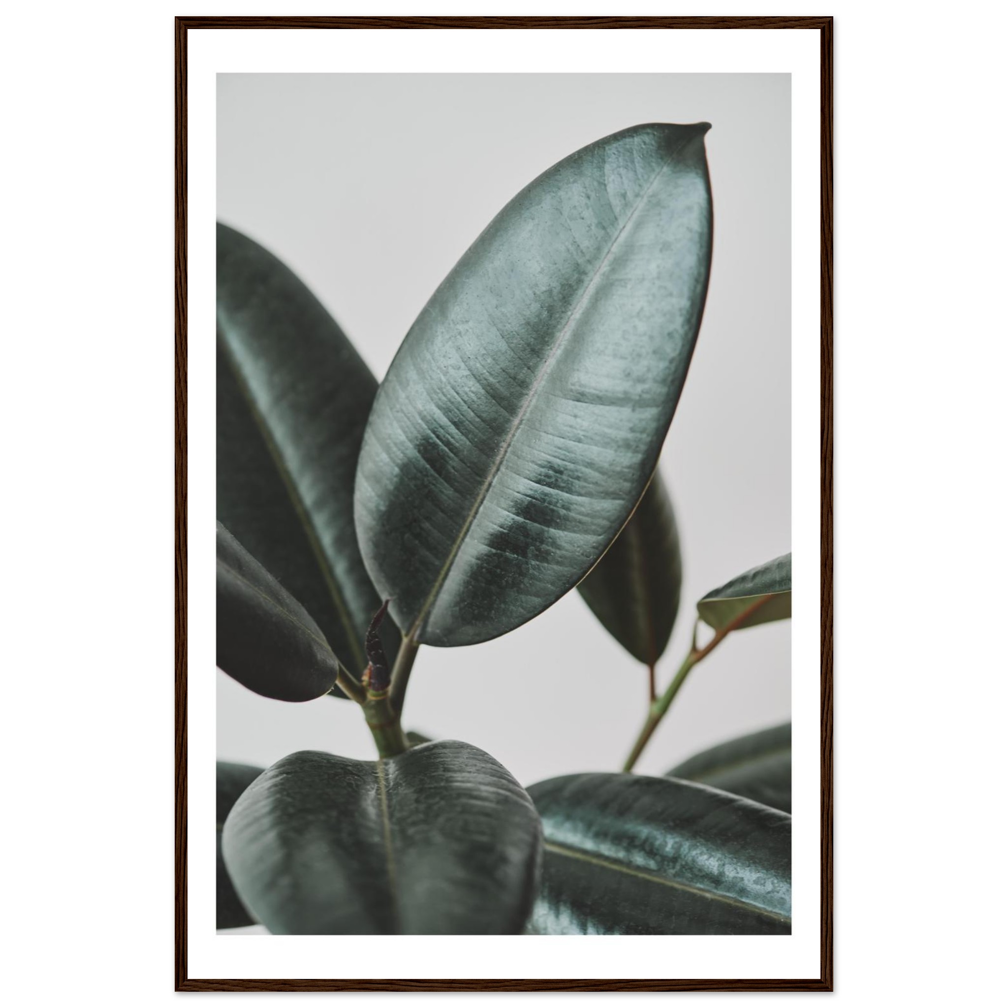 2b81db1a-bfee-48e0-abfb-d3e16ae676d8.jpg 2b81db1a-bfee-48e0-abfb-d3e16ae676d8