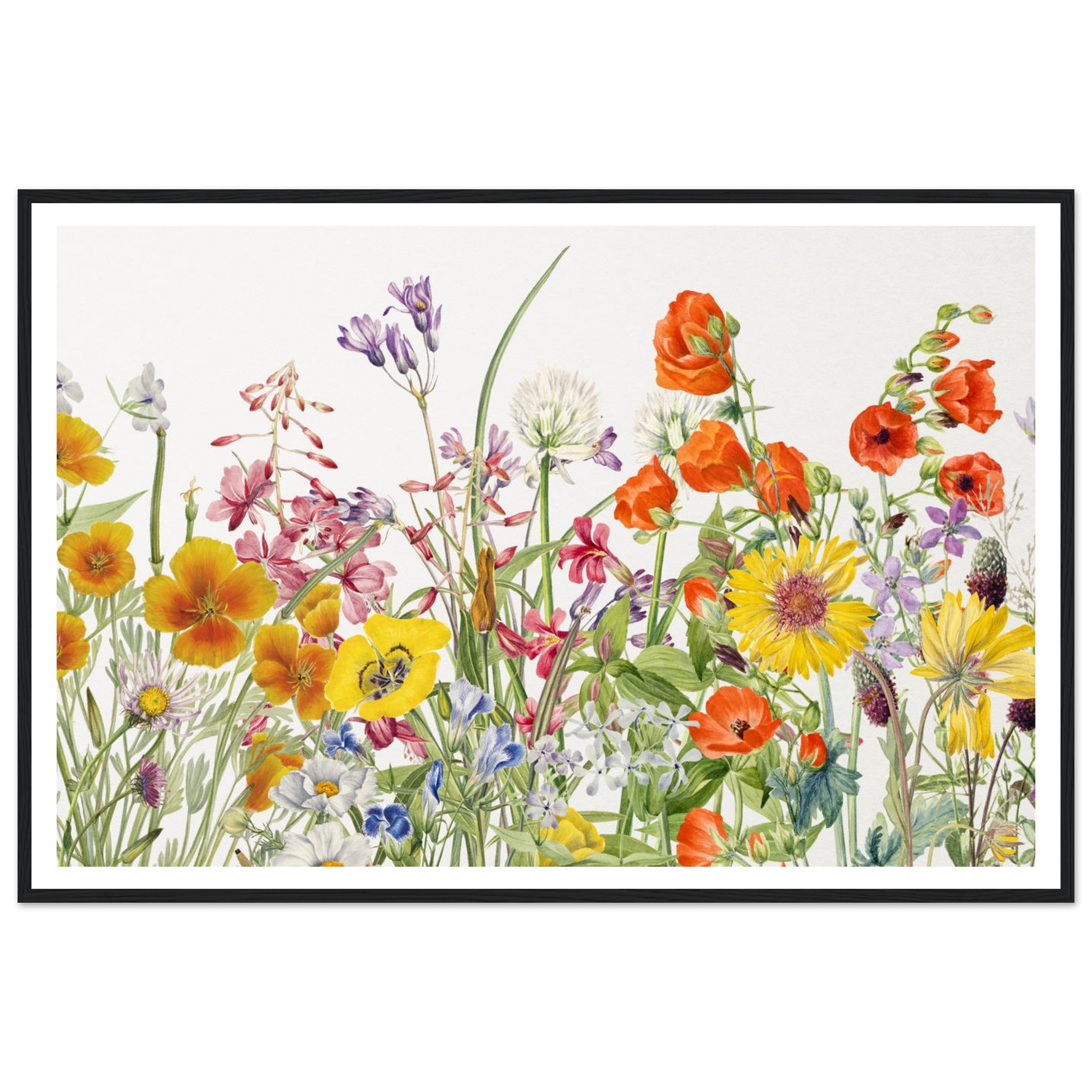 2e98f66c-3b1e-43ab-a3ac-72a30ded4e3b.jpg 2e98f66c-3b1e-43ab-a3ac-72a30ded4e3b