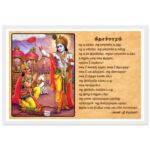 6323bd06-a3fa-458d-9bc7-9f79d57da9d9