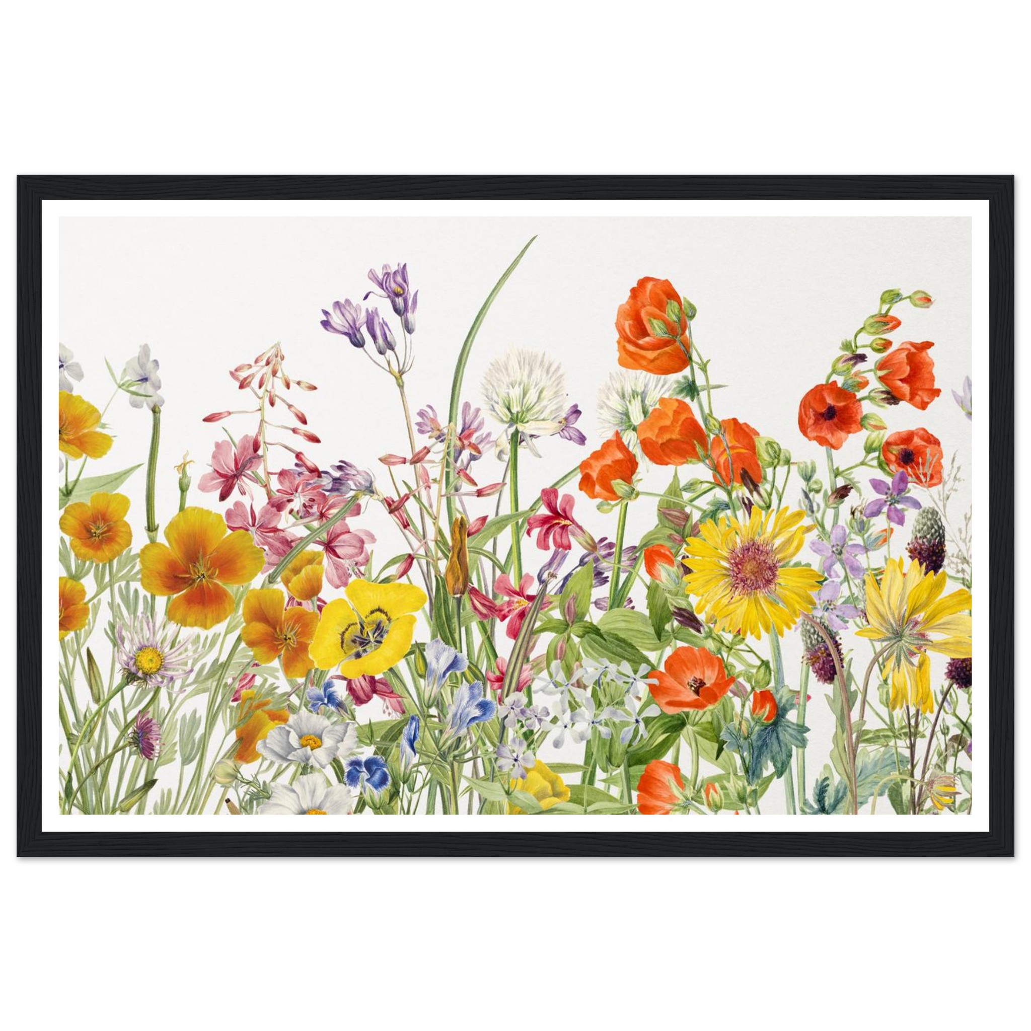 833d1b85-ed1a-4108-8294-83af9a700fe7.jpg 833d1b85-ed1a-4108-8294-83af9a700fe7