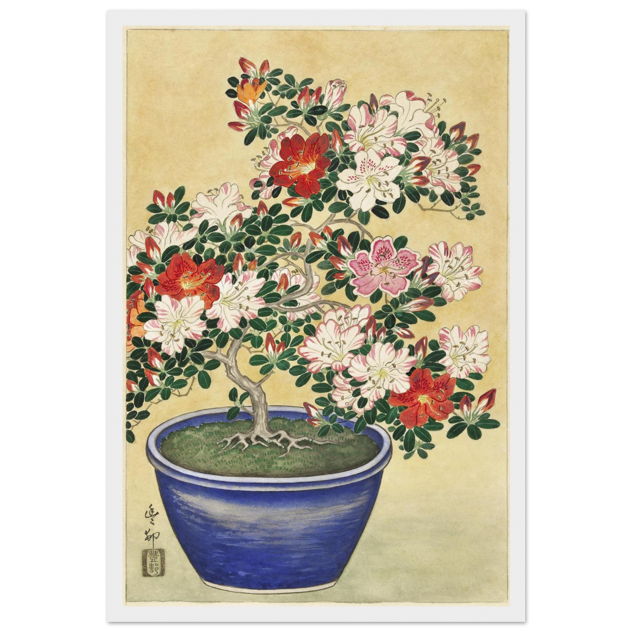 899d34bc-80c0-42e0-993e-8afe58679282.jpg 899d34bc-80c0-42e0-993e-8afe58679282