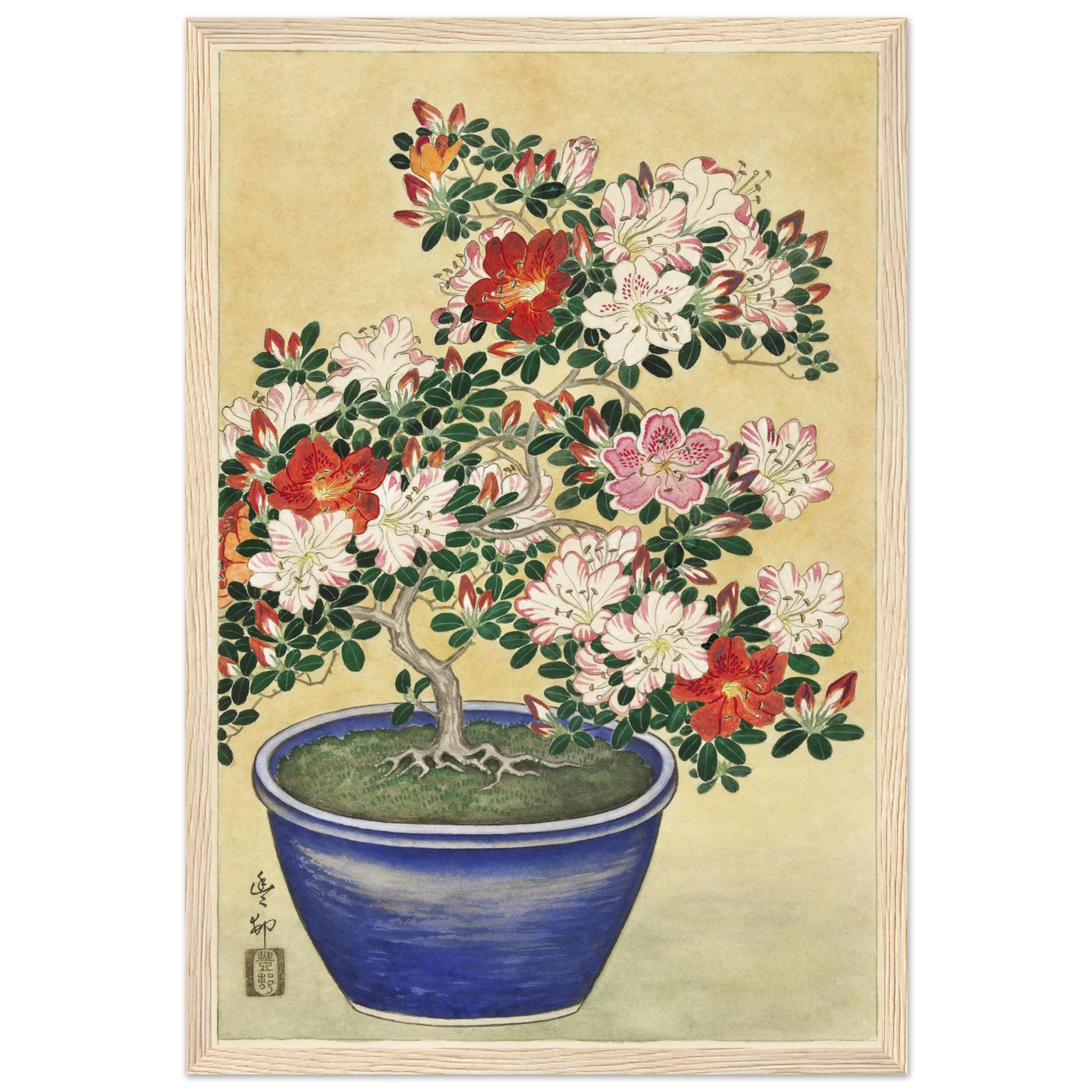 9046920d-2724-4c85-8ae4-b2fe0dfe6521.jpg 9046920d-2724-4c85-8ae4-b2fe0dfe6521