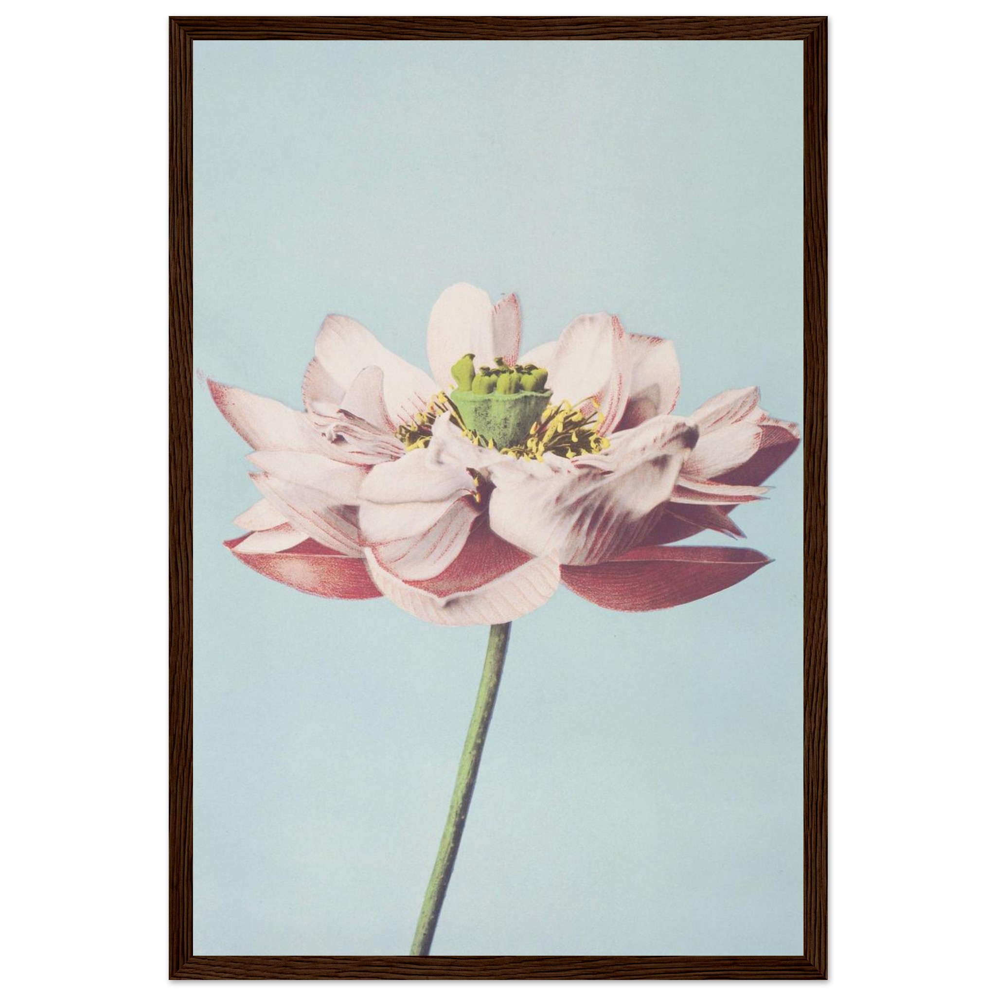 9509cc5c-69d2-40b4-843d-78d7398ad10c.jpg 9509cc5c-69d2-40b4-843d-78d7398ad10c