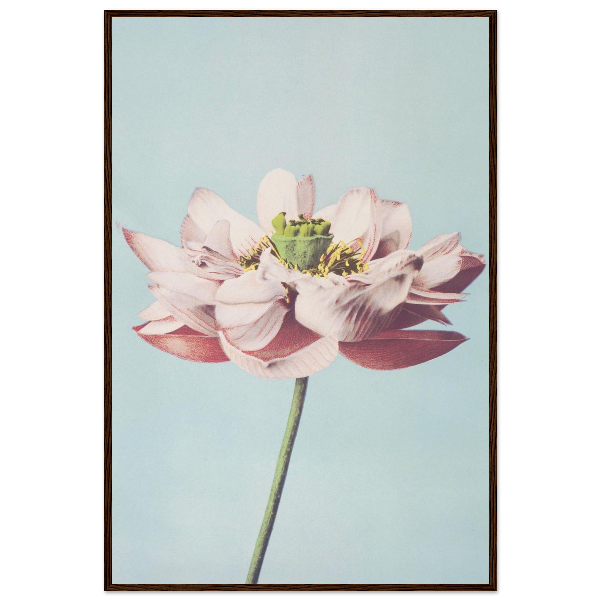 9562e43f-1e87-44f3-894e-ba9835d23c61.jpg 9562e43f-1e87-44f3-894e-ba9835d23c61