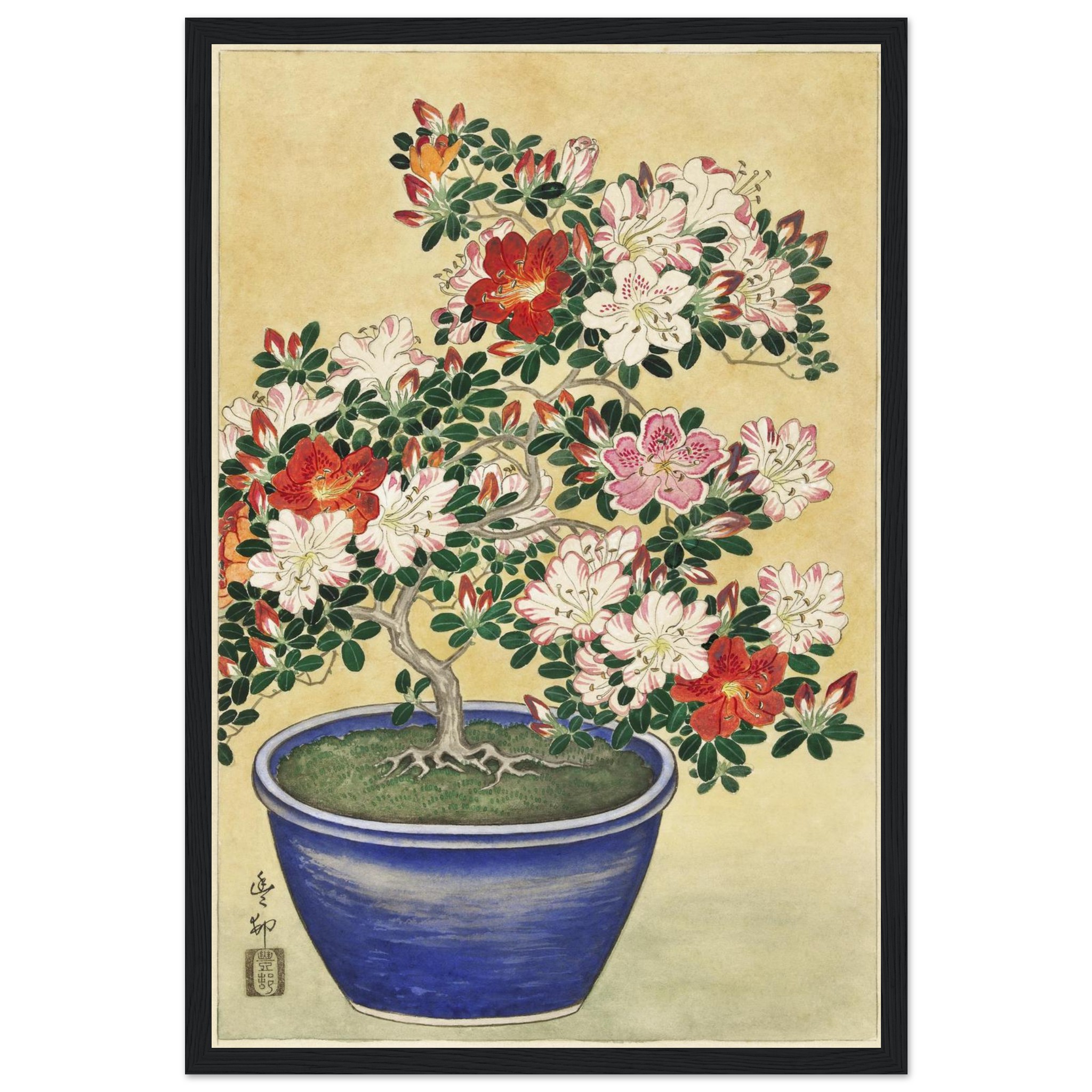 9d23550d-7bb4-4a9c-a32c-8ce636459657.jpg 9d23550d-7bb4-4a9c-a32c-8ce636459657