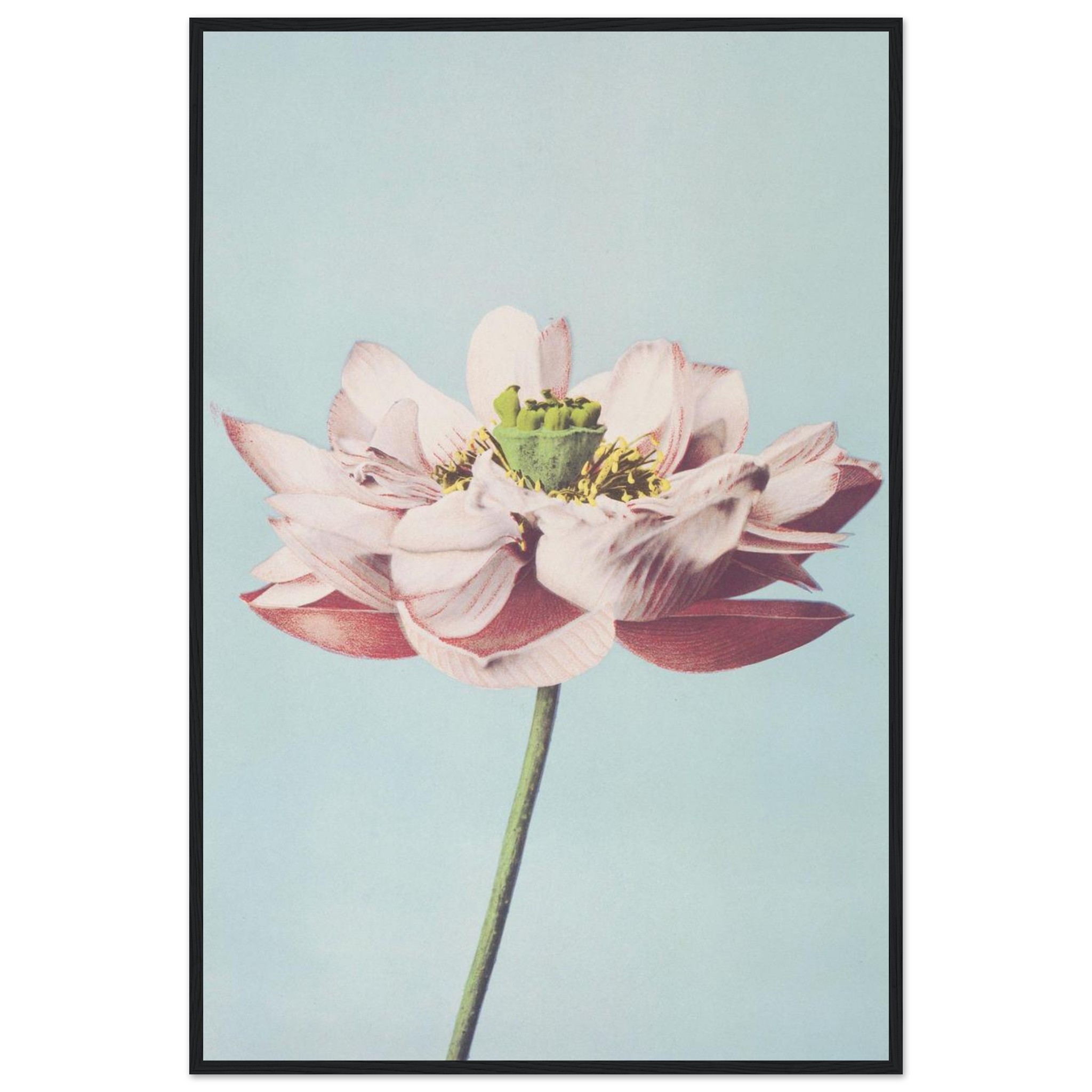 aa5876e5-0d7e-4024-8d02-d24b76916924.jpg aa5876e5-0d7e-4024-8d02-d24b76916924