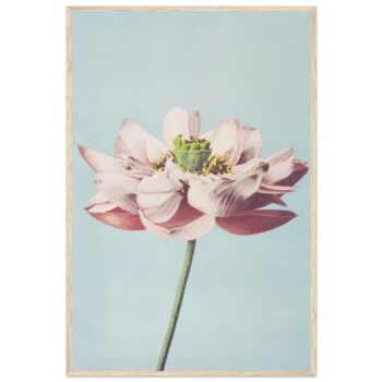 b6d906f9-56ad-44a7-ad50-d80237397d52