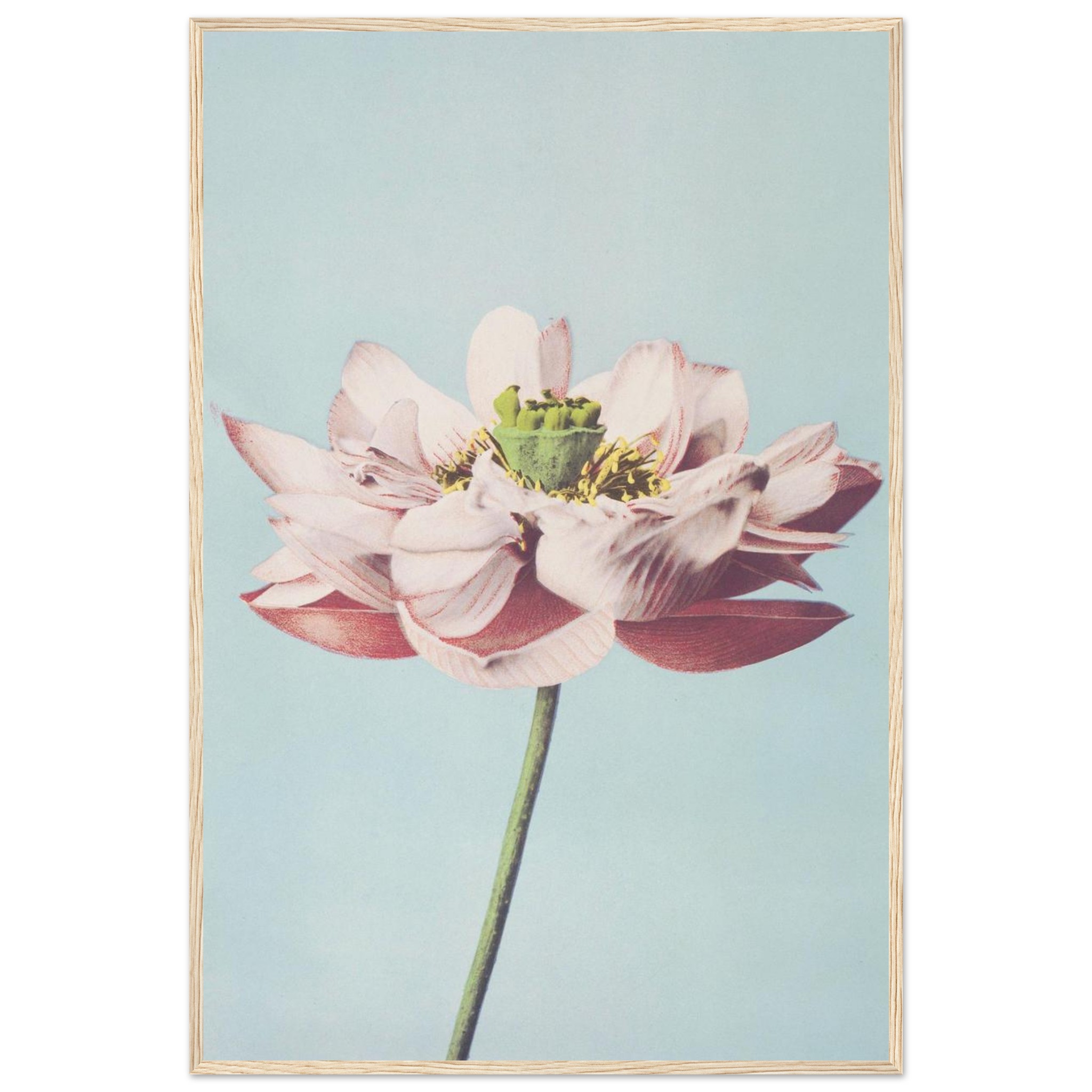 b6d906f9-56ad-44a7-ad50-d80237397d52.jpg b6d906f9-56ad-44a7-ad50-d80237397d52