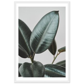 Lush Serenity Framed Poster: Deep Emerald Leaves in Classic Matte Finish