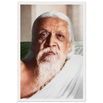 c65b195a-cfe2-4827-8563-1e02ef72aa69