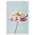 c80746c9-0135-4a87-bbce-aa7c208c3169