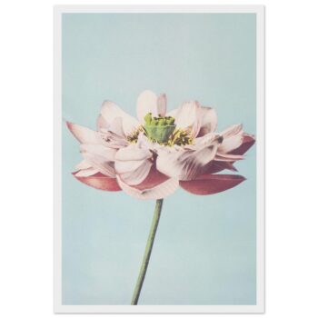 c80746c9-0135-4a87-bbce-aa7c208c3169