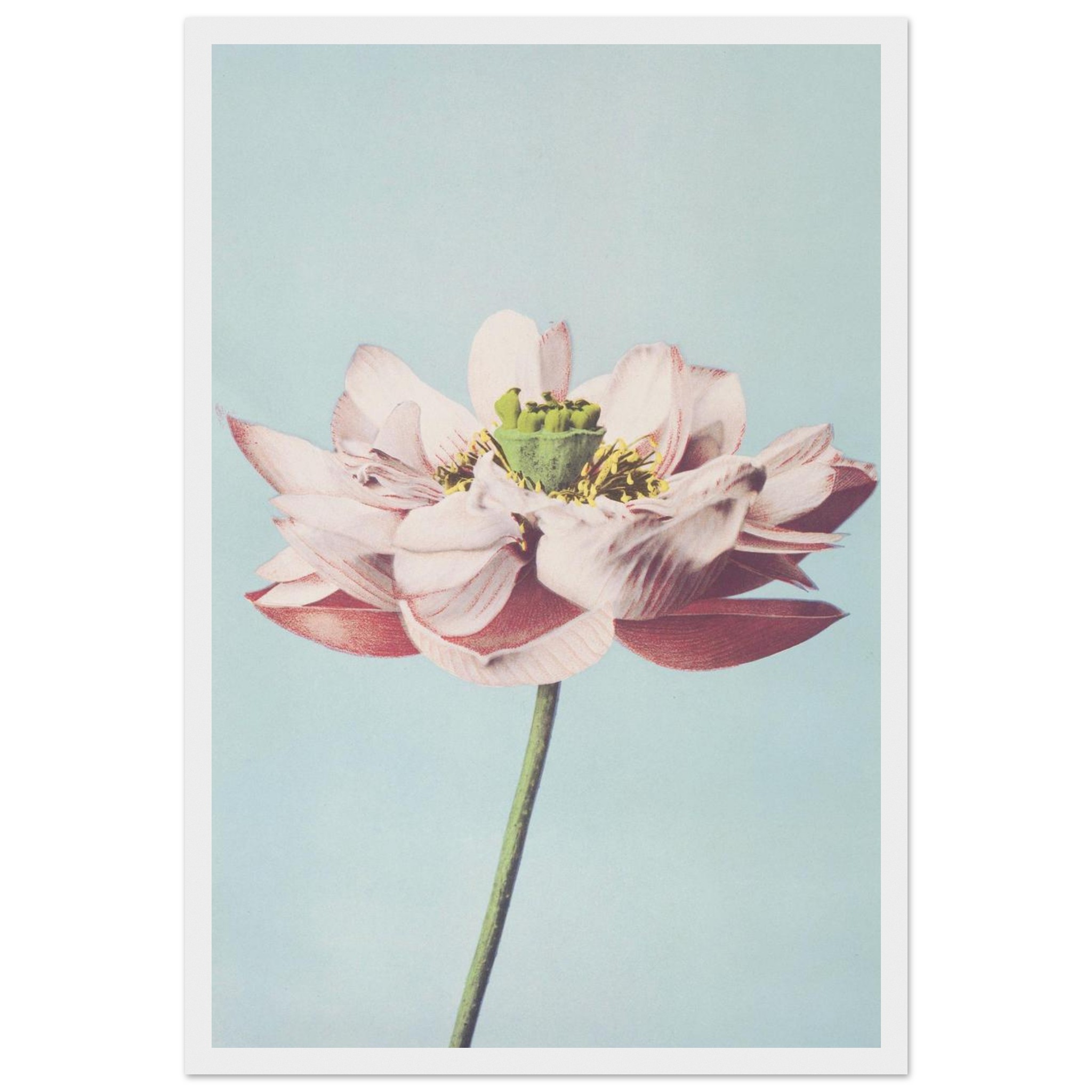 c80746c9-0135-4a87-bbce-aa7c208c3169.jpg c80746c9-0135-4a87-bbce-aa7c208c3169