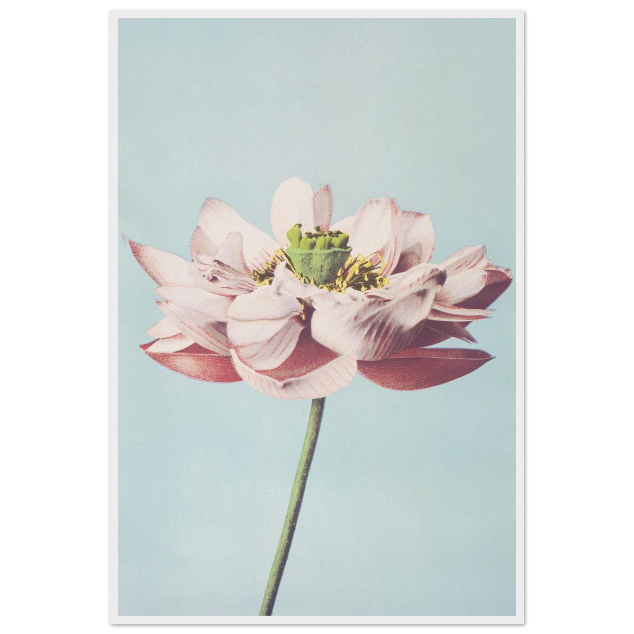 ccfd0e15-e655-4eda-bb9f-bf7c72456f72.jpg ccfd0e15-e655-4eda-bb9f-bf7c72456f72