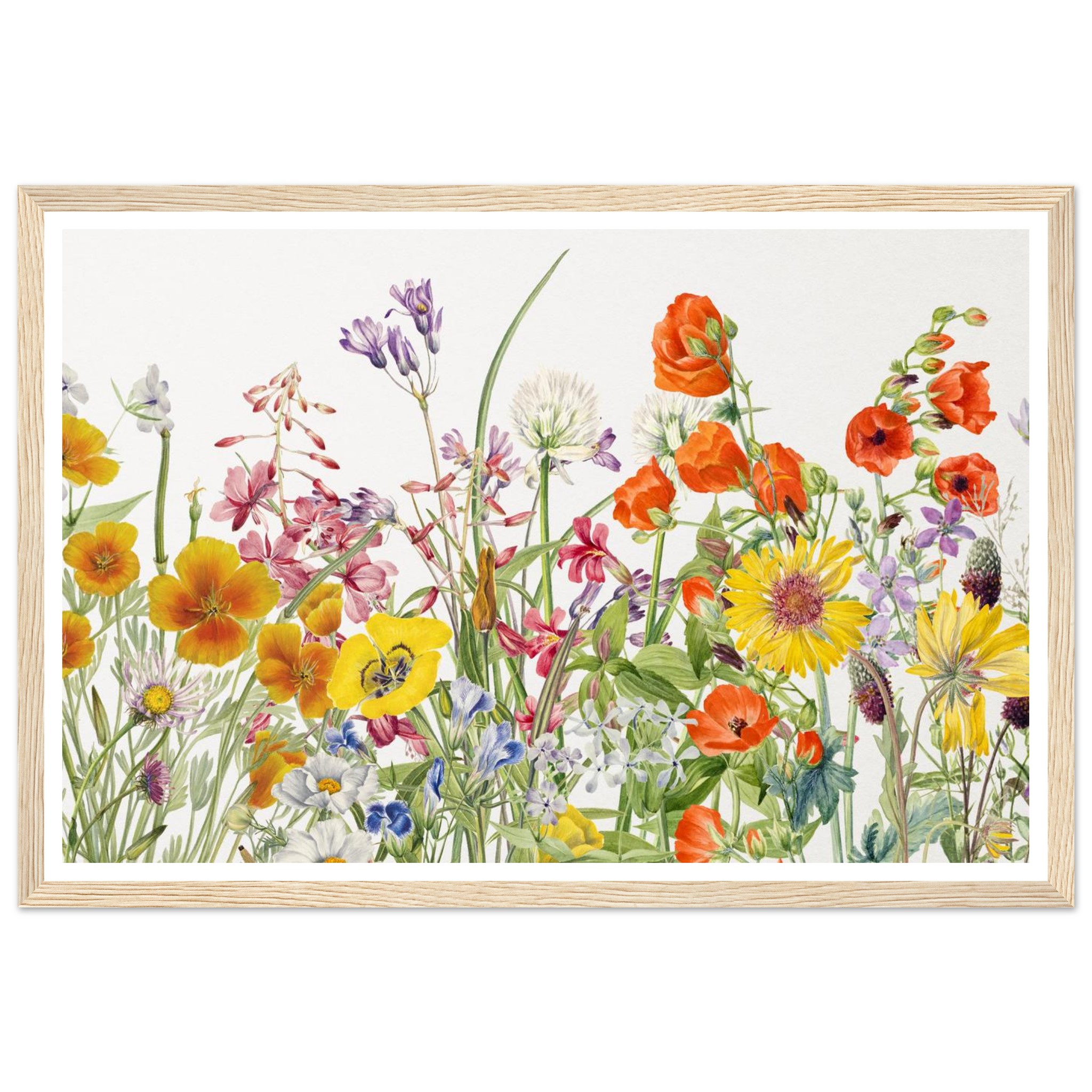 cd44c2c1-e966-490d-a954-e6a17abce9cd.jpg cd44c2c1-e966-490d-a954-e6a17abce9cd