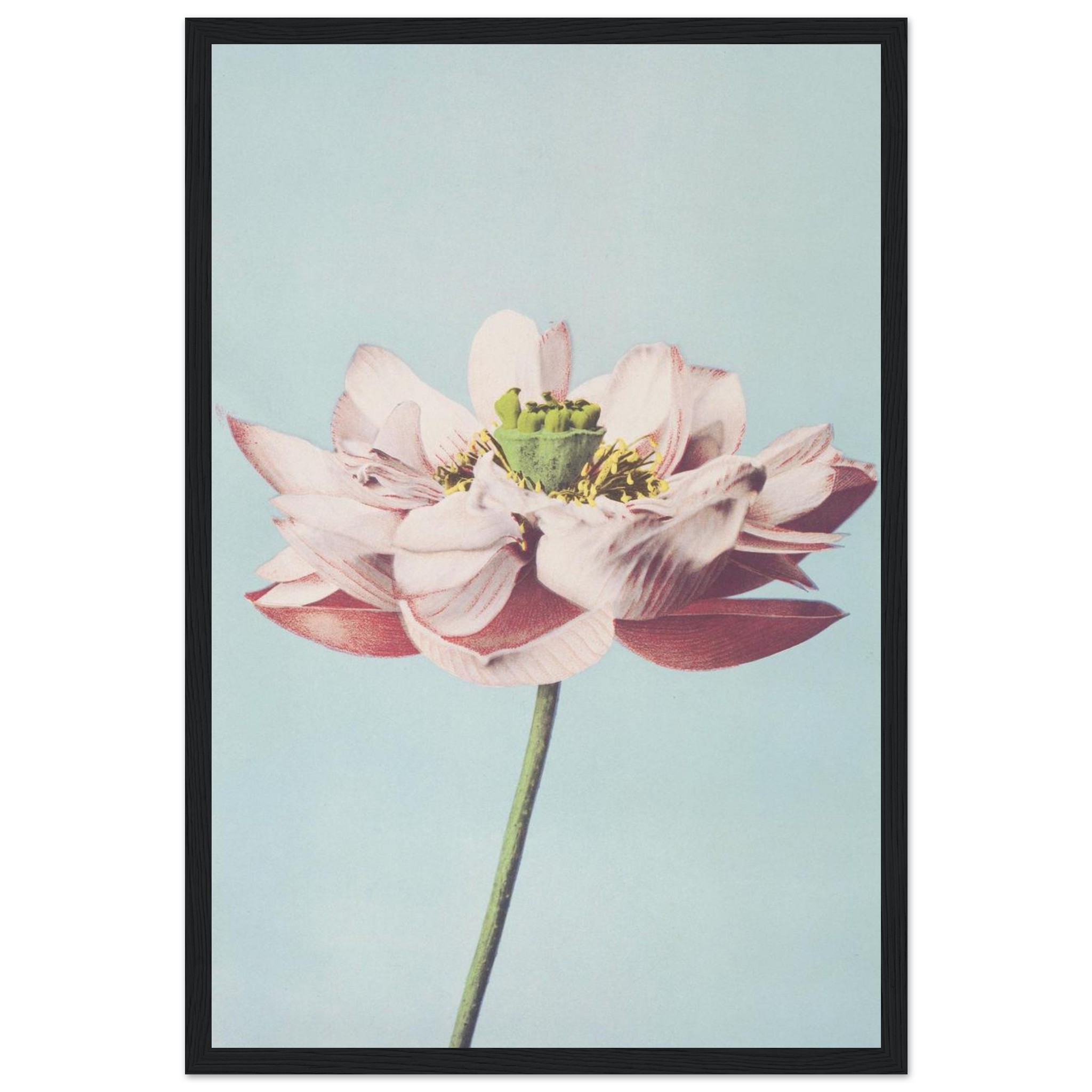 d192ebeb-285a-45f4-8352-cee3a3648342.jpg d192ebeb-285a-45f4-8352-cee3a3648342