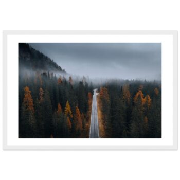 d24d9dd0-cf7a-4e27-a607-0836ca064d55