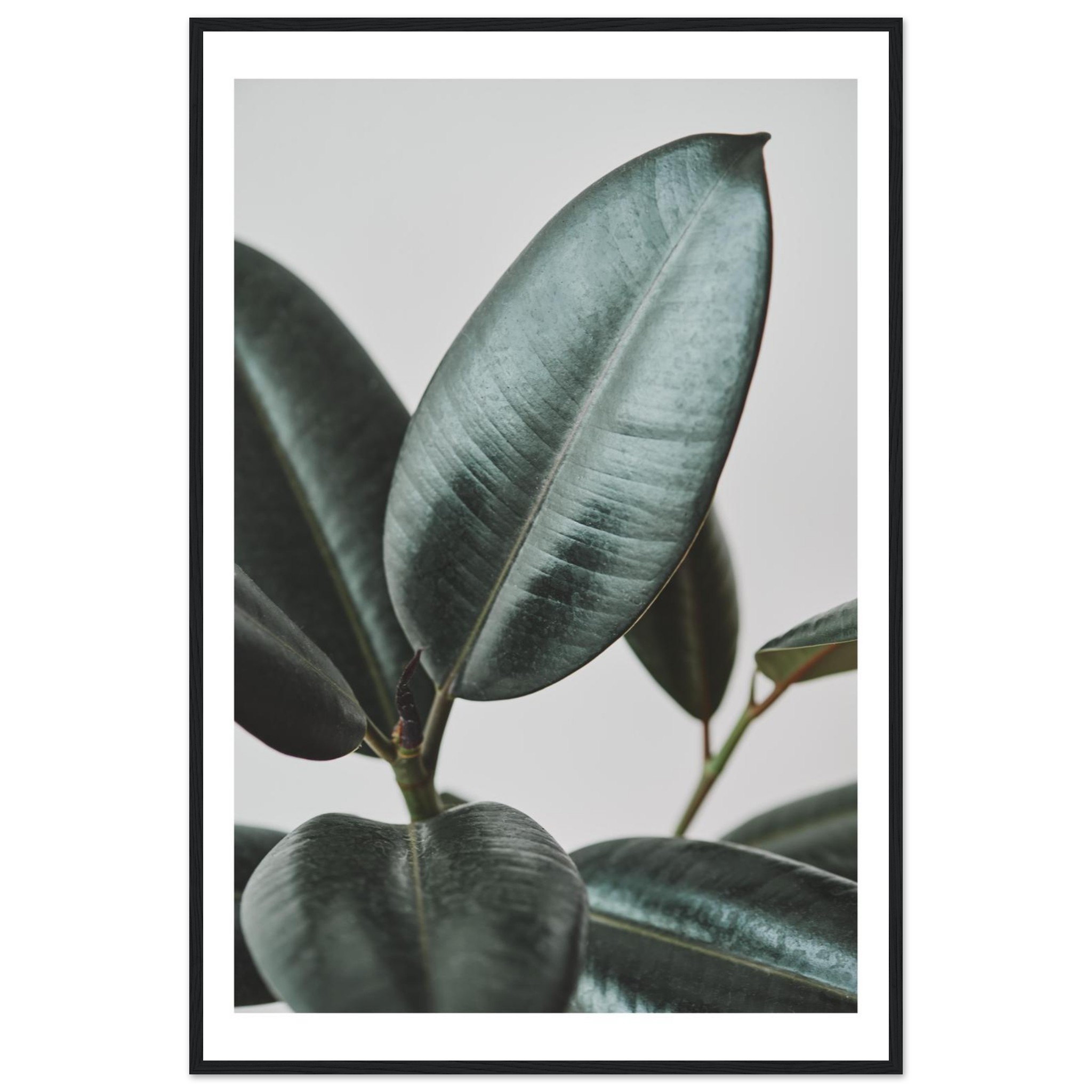 d641d3a9-36c6-47b9-9487-3faf3f552243.jpg d641d3a9-36c6-47b9-9487-3faf3f552243